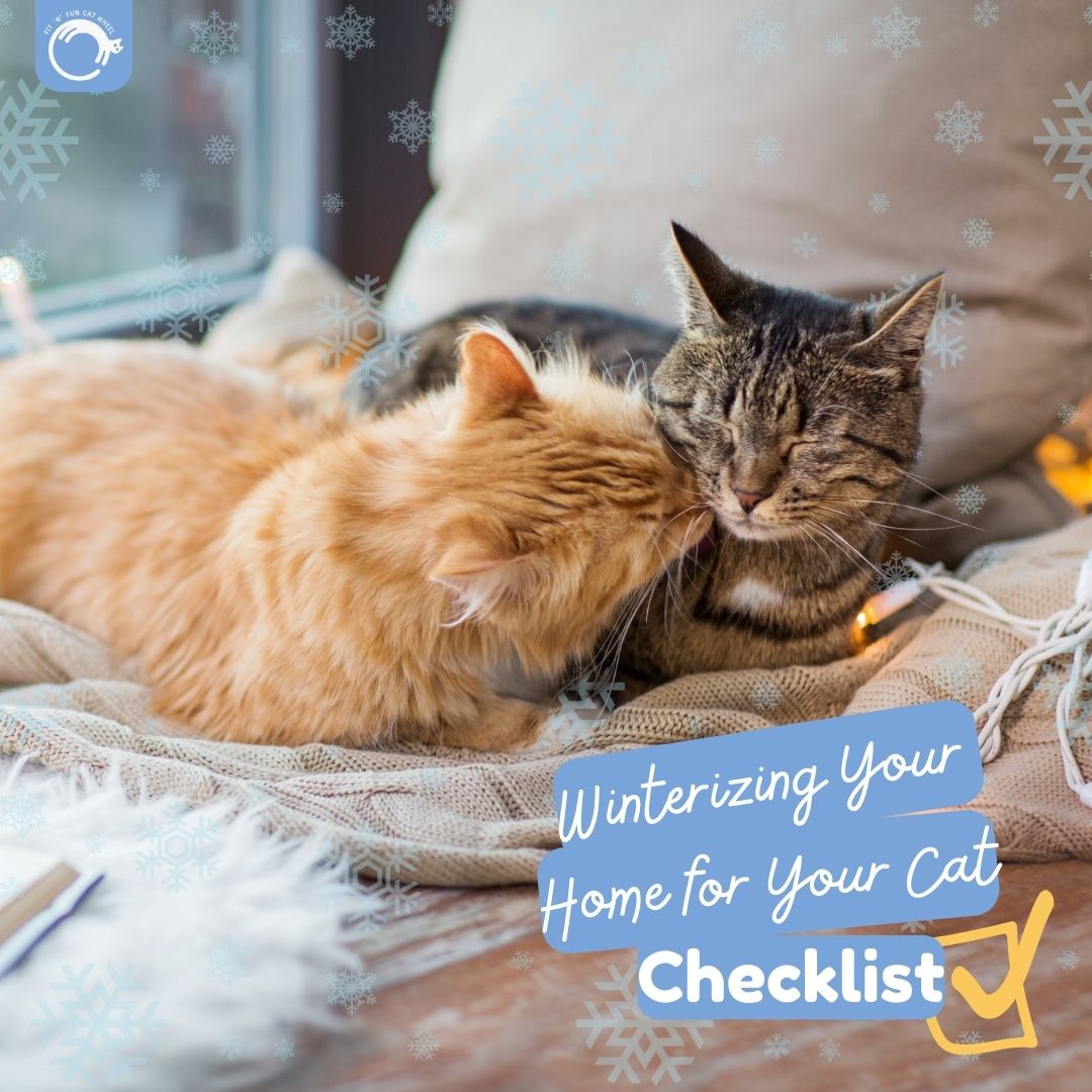 Winter is Coming: Preparing Your Apartment Cat for Cozy Comfort and Active Fun