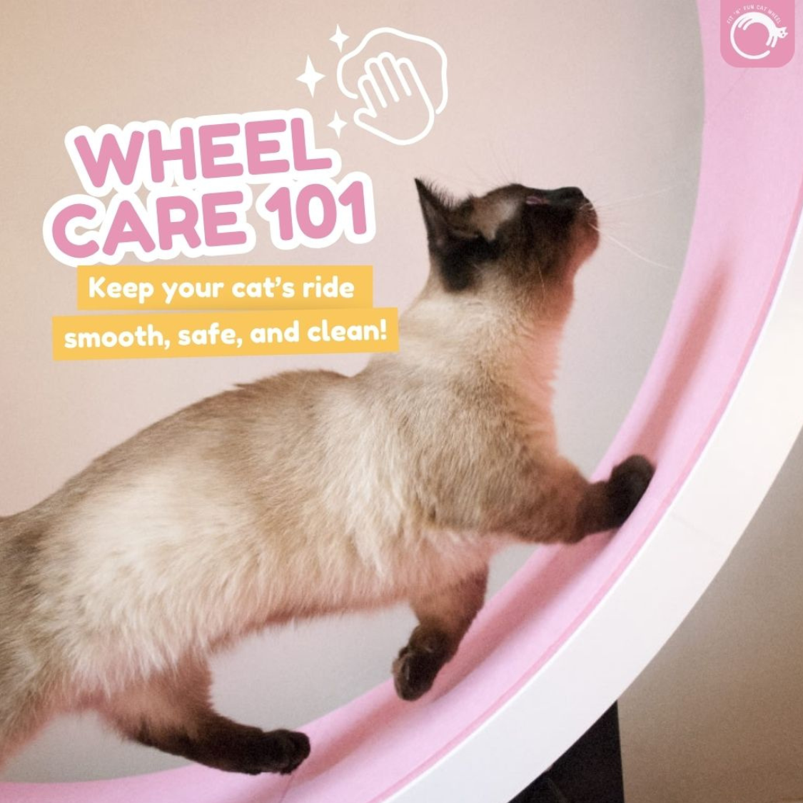 Keep Rolling Smoothly: Essential Care for Your Fit n' Fun Cat Wheel