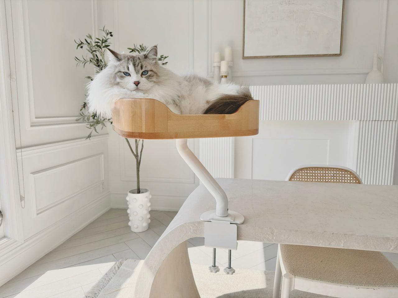 ERGO PURRCH™ Desk-Mounted Cat Bed