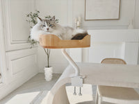 Thumbnail for ERGO PURRCH™ Desk-Mounted Cat Bed