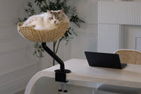 Thumbnail for ERGO PURRCH™ Desk-Mounted Cat Bed