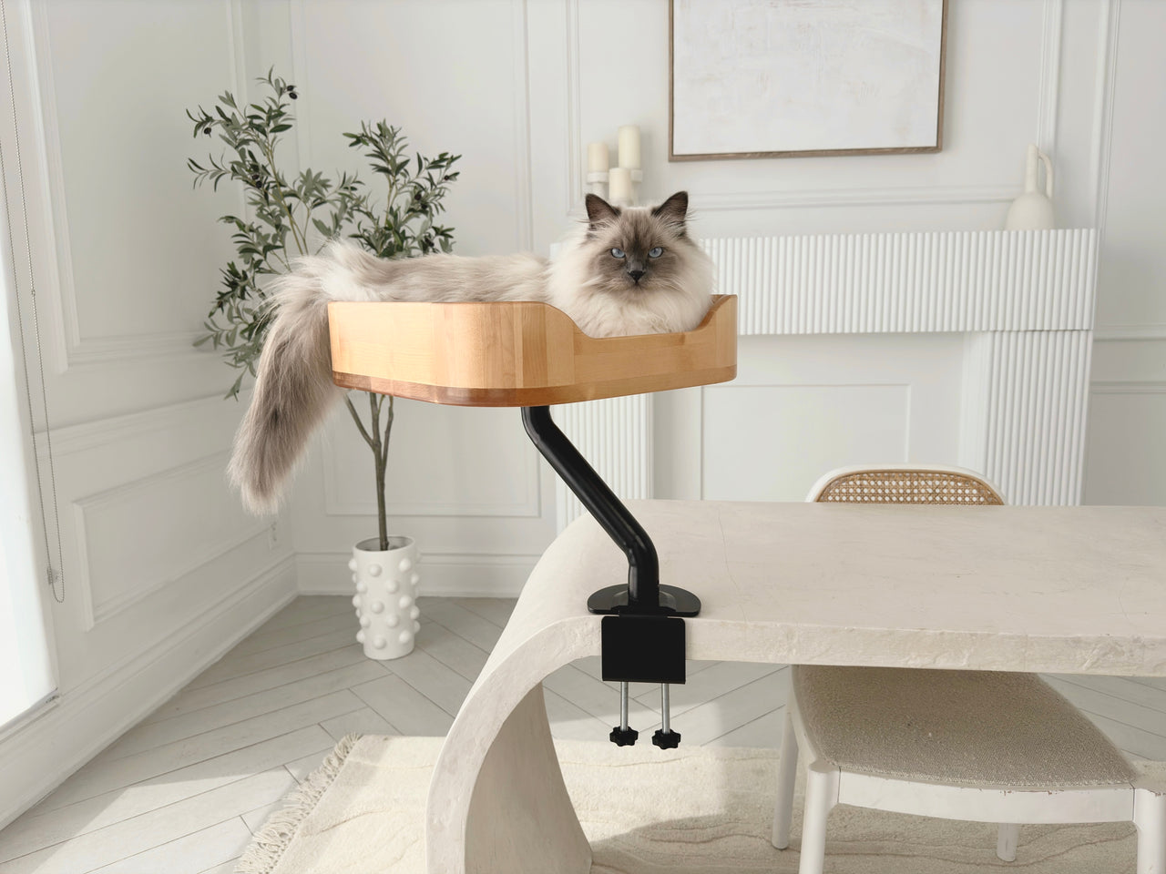 ERGO PURRCH™ Desk-Mounted Cat Bed