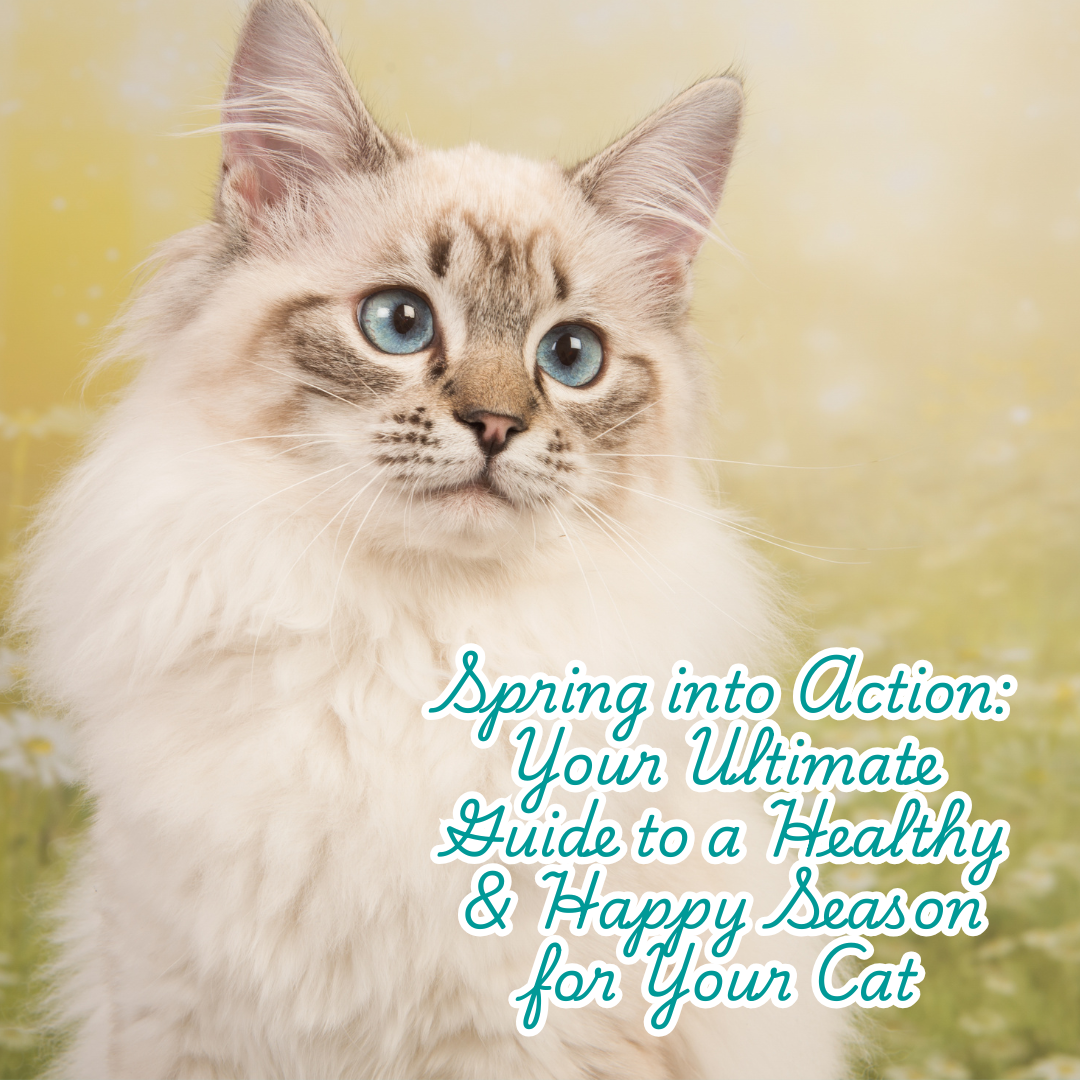 Spring into Action: Your Ultimate Guide to a Healthy & Happy Season for Your Cat