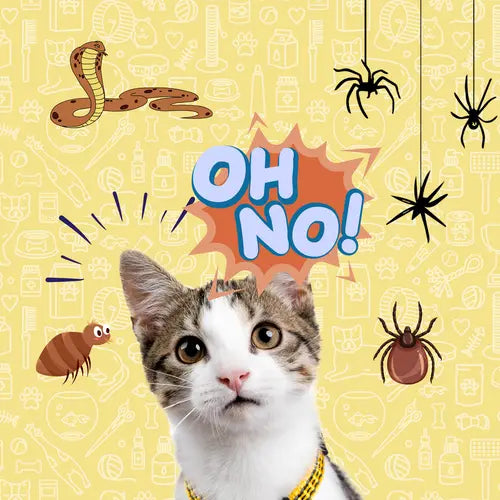 Summer-Dangers-Protecting-Your-Cat-from-Ticks-Fleas-Snakes-and-Spiders Fit 'n' Fun Cat Wheel