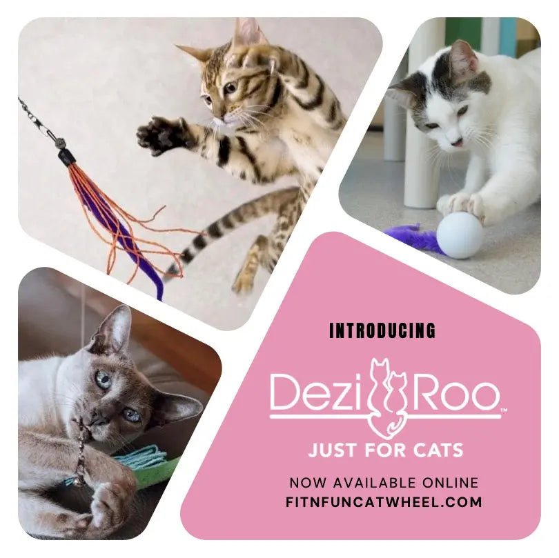 Dezi & Roo - In Store NOW - Fit 'n' Fun Cat Wheel