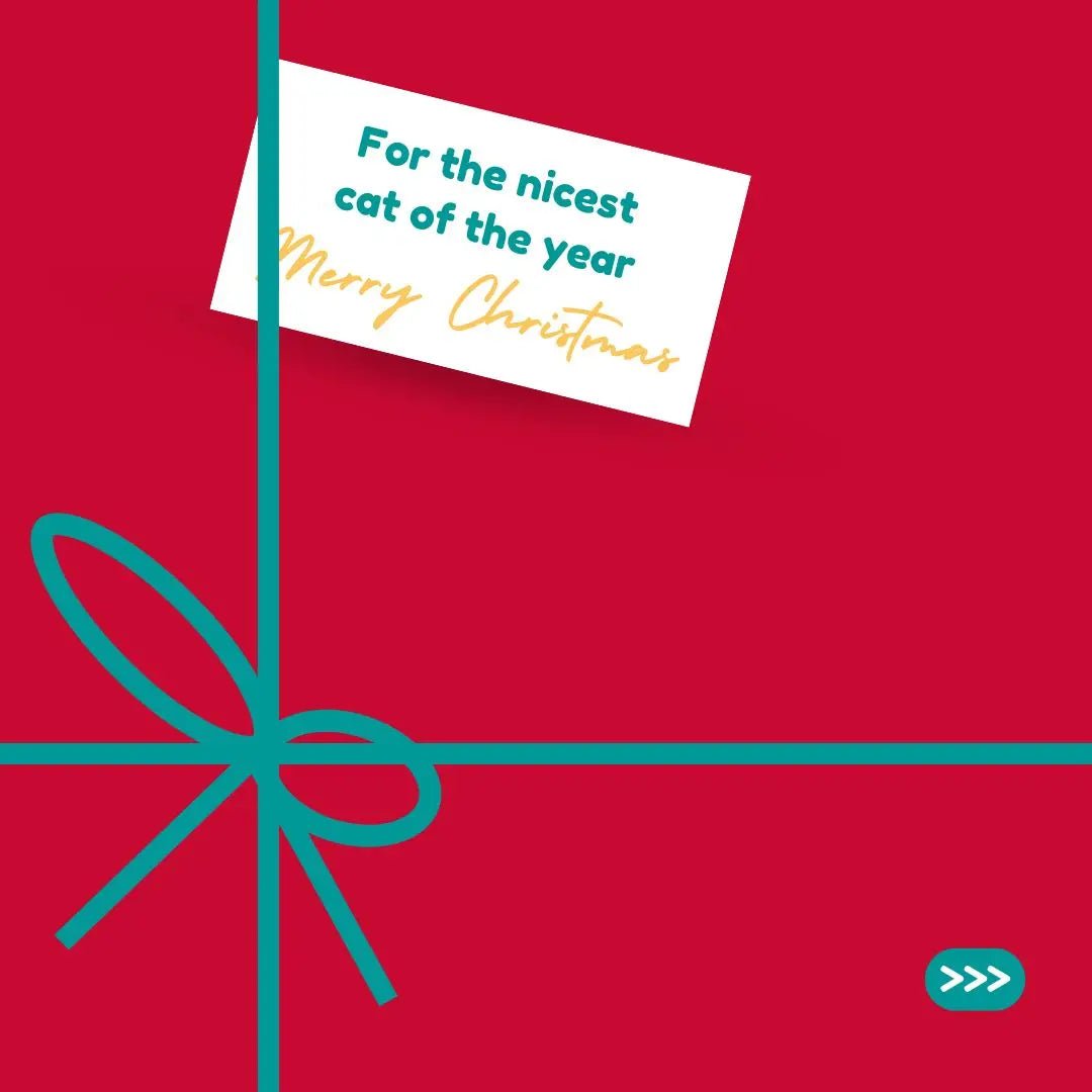 Meow-y Christmas! Purr-fect Gift Ideas for Your Feline Friend - Fit 'n' Fun Cat Wheel