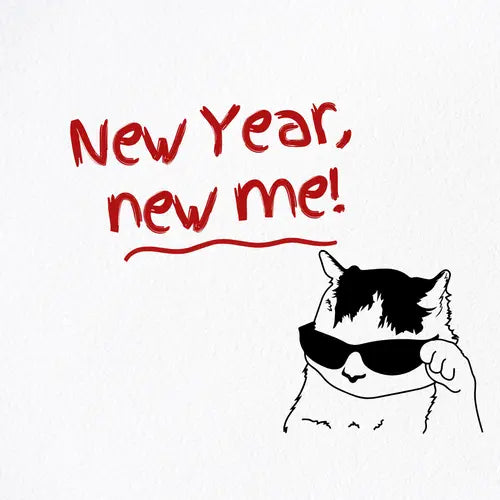 New Year, New Cat Resolutions: Setting Goals for a Healthier, Happier Feline - Fit 'n' Fun Cat Wheel