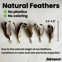 Thumbnail for Feather Toy Attachment for Forever Stick™