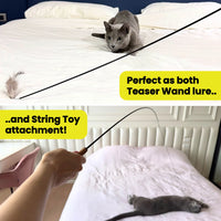 Thumbnail for Feather Toy Attachment for Forever Stick™