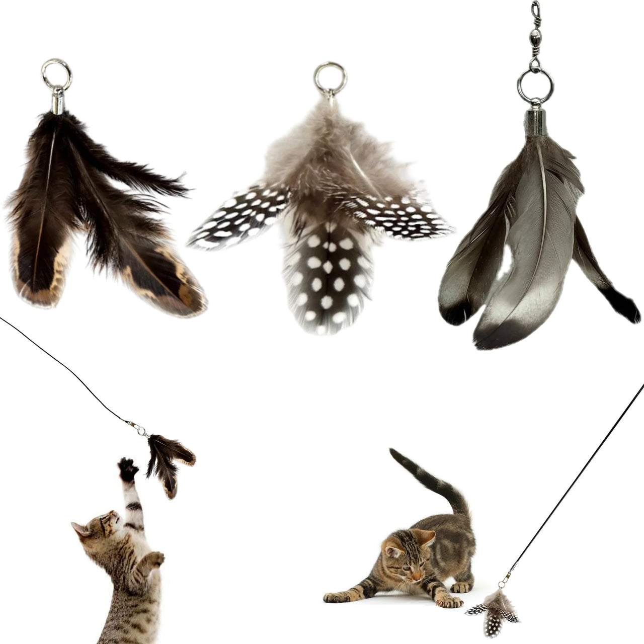 Feather Toy Attachment for Forever Stick™