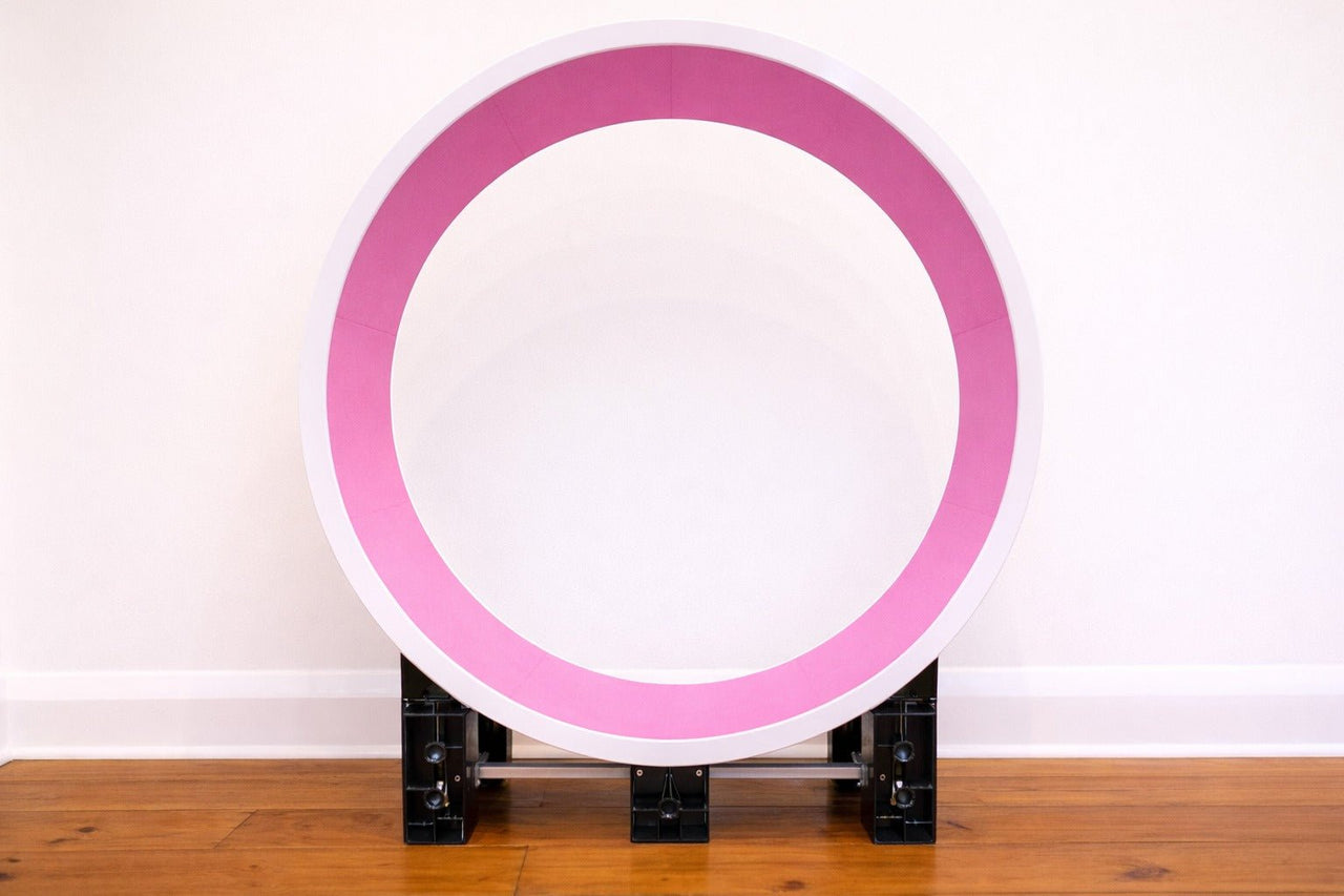 Fit 'n' Fun's Ferris Cat Wheel - Fit 'n' Fun Cat WheelFit 'n' Fun's Ferris Cat Wheel