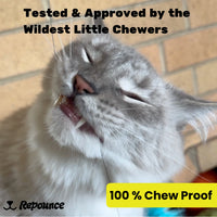 Thumbnail for Heavy Chewers Forever Stick™ - Refill Strings 3 Pack