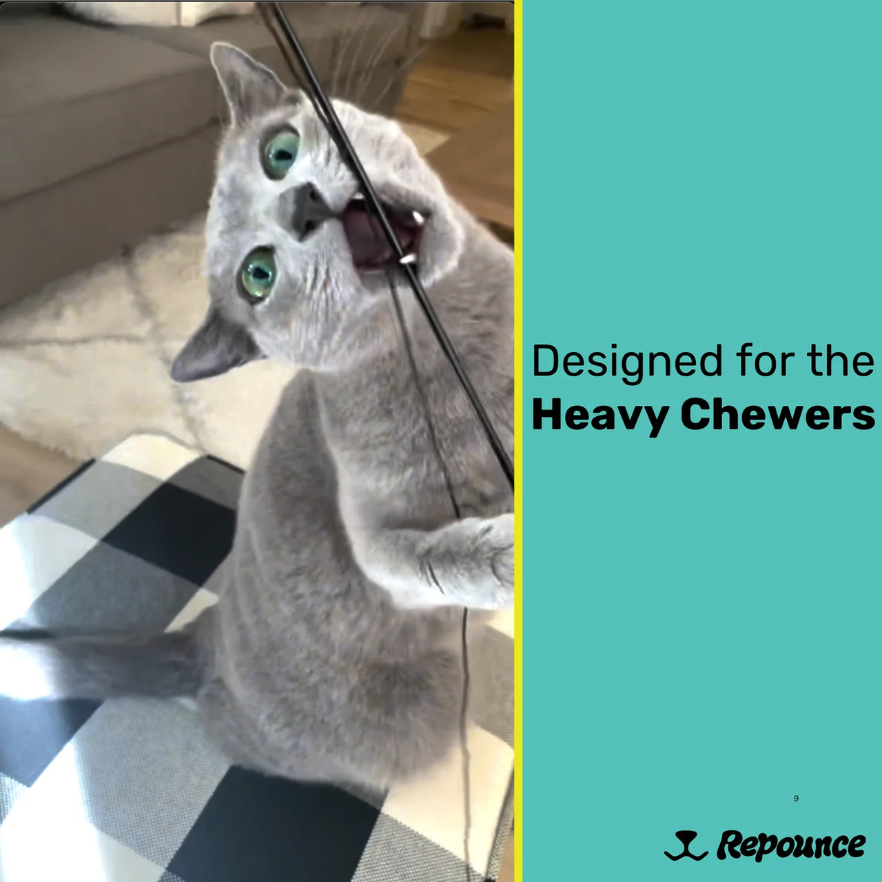 Heavy Chewers Forever Stick™ - Refill Strings 3 Pack