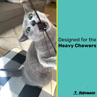 Thumbnail for Heavy Chewers Forever Stick™ - Refill Strings 3 Pack