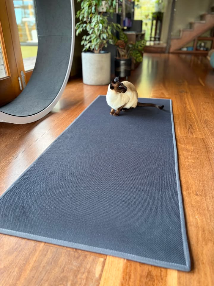 Fit 'n' Fun G5 Ferris & Grand Ferris Anti-Slip Wheel Mat - Fit 'n' Fun Cat WheelFit 'n' Fun G5 Ferris & Grand Ferris Anti-Slip Wheel Mat