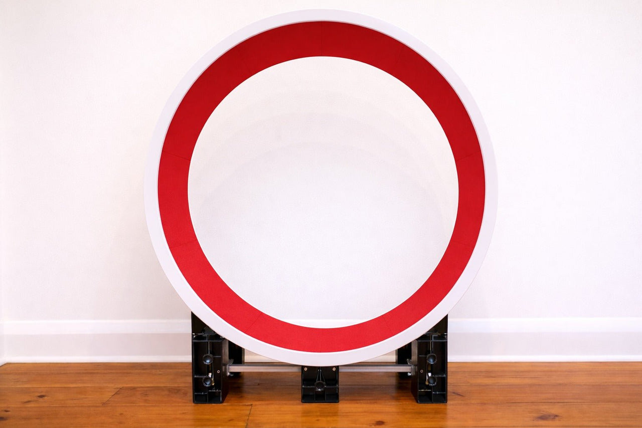 Fit 'n' Fun's Ferris Cat Wheel - Fit 'n' Fun Cat WheelFit 'n' Fun's Ferris Cat Wheel