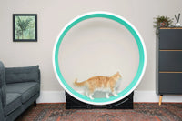 Thumbnail for The Grand Ferris Cat Wheel - OUT OF STOCK MSG TO RESERVE 🎉 - Fit 'n' Fun Cat WheelThe Grand Ferris Cat Wheel - OUT OF STOCK MSG TO RESERVE 🎉