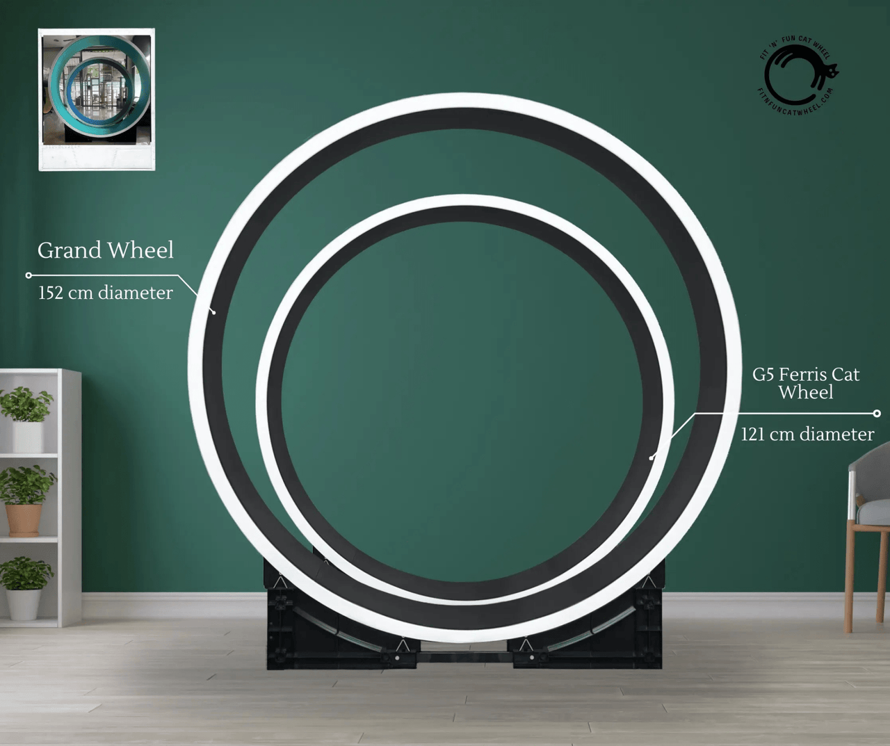 The Grand Ferris Cat Wheel - OUT OF STOCK MSG TO RESERVE 🎉 - Fit 'n' Fun Cat WheelThe Grand Ferris Cat Wheel - OUT OF STOCK MSG TO RESERVE 🎉