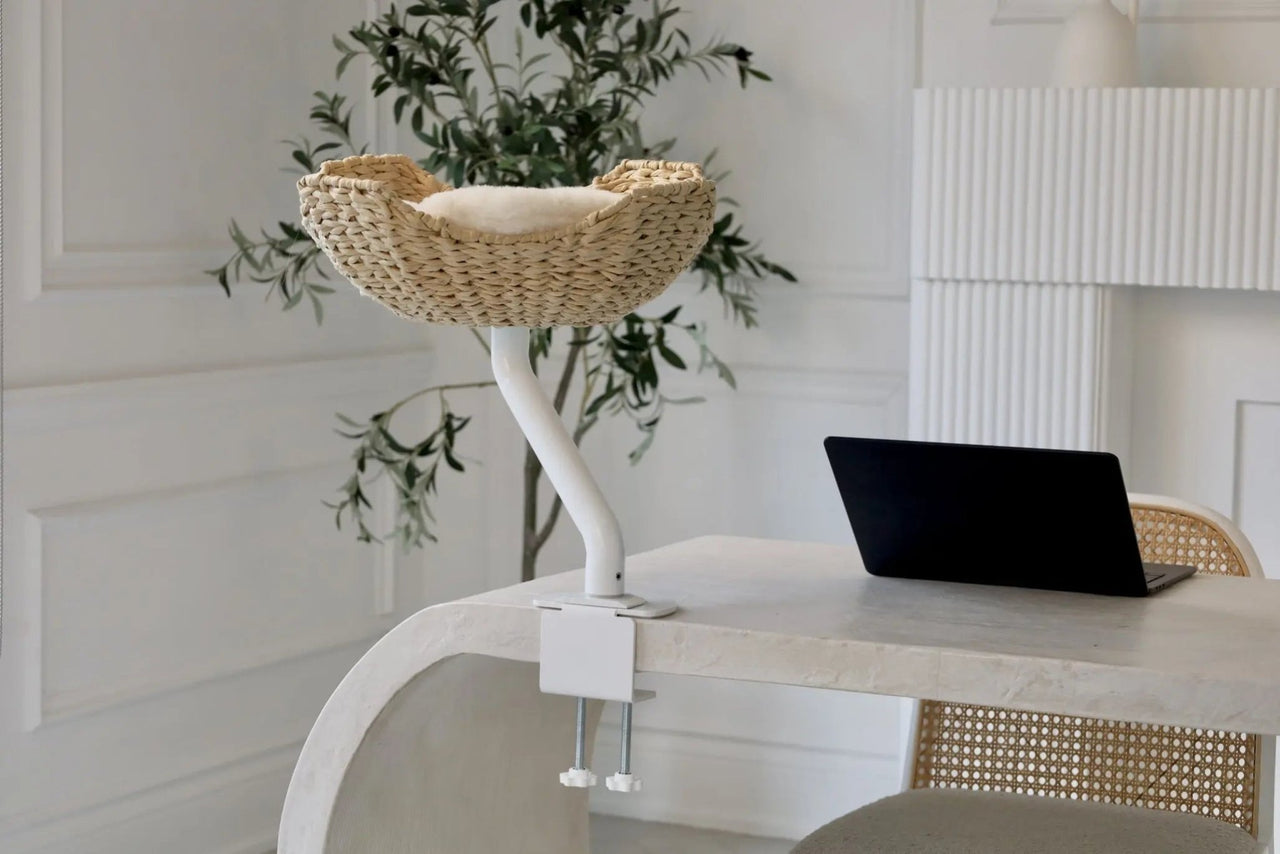 ERGO PURRCH™ Desk - Mounted Cat Bed - Fit 'n' Fun Cat WheelERGO PURRCH™ Desk - Mounted Cat Bed