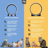 Thumbnail for The Grand Ferris Cat Wheel - OUT OF STOCK MSG TO RESERVE 🎉 - Fit 'n' Fun Cat WheelThe Grand Ferris Cat Wheel - OUT OF STOCK MSG TO RESERVE 🎉