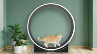 Thumbnail for The Grand Ferris Cat Wheel - OUT OF STOCK MSG TO RESERVE 🎉 - Fit 'n' Fun Cat WheelThe Grand Ferris Cat Wheel - OUT OF STOCK MSG TO RESERVE 🎉